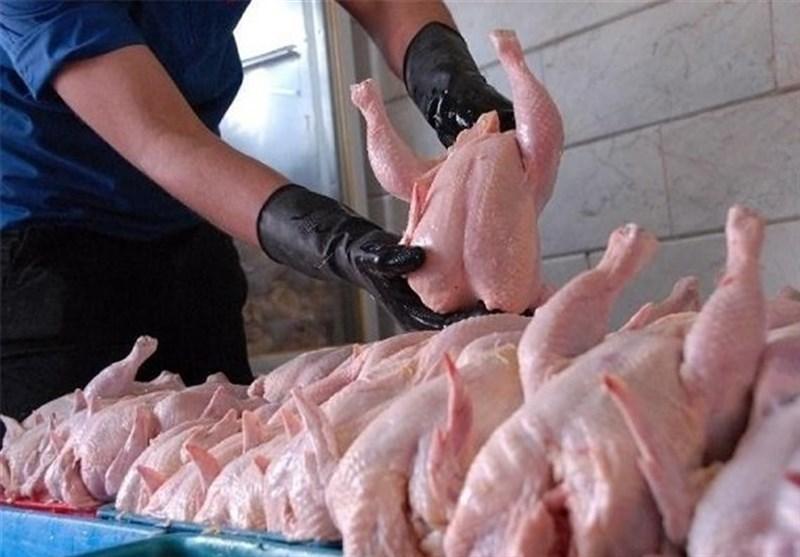 افزایش قیمت مرغ در راه است، قیمت هر کیلو مرغ 12 هزار و 700 تومان