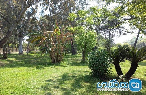 باغ گیاه شناسی نوشهر یکی از جاهای دیدنی استان مازندران است