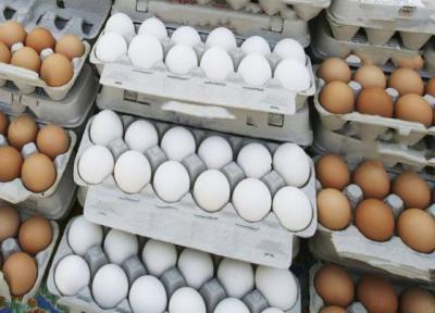 قیمت تخم مرغ بسته بندی اعلام شد